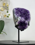Amethyst Crystal Cluster with Deep Purple Druzy – Natural Mineral Display Piece - MWS2891