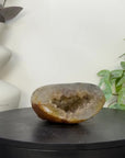 Yellow Sugar Druzy Quartz Geode - STGE0060