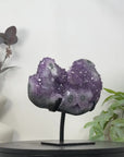 Natural Amethyst Stalactite Formation on Stand - MWS3237