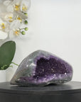 Natural Amethyst Stone Geode with Druzy Crystals - STGE0023