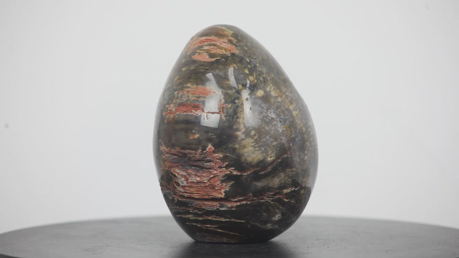 Petrified Wood Handmade Stone Egg - STE0088