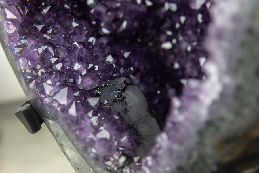 XXL Natural Amethyst Geode, Collection Grade Specimen - AWS1095
