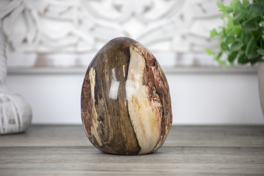 Unique Petrefied Wood Stone Egg Shaped Carving - STE0083