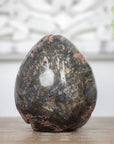 Petrified Wood Handmade Stone Egg - STE0086
