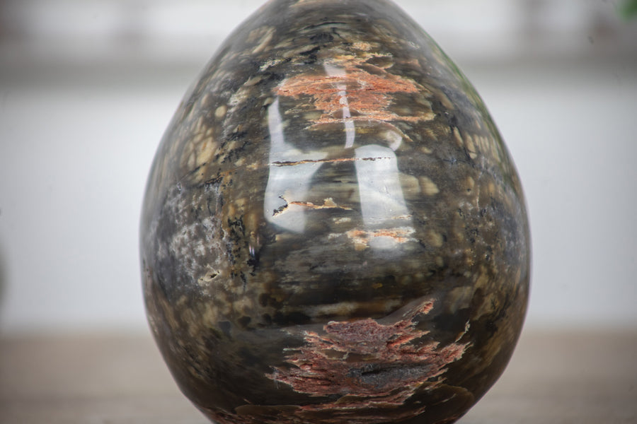 Petrified Wood Handmade Stone Egg - STE0086