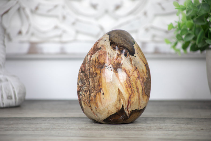 Unique Petrefied Wood Stone Egg Shaped Carving - STE0083