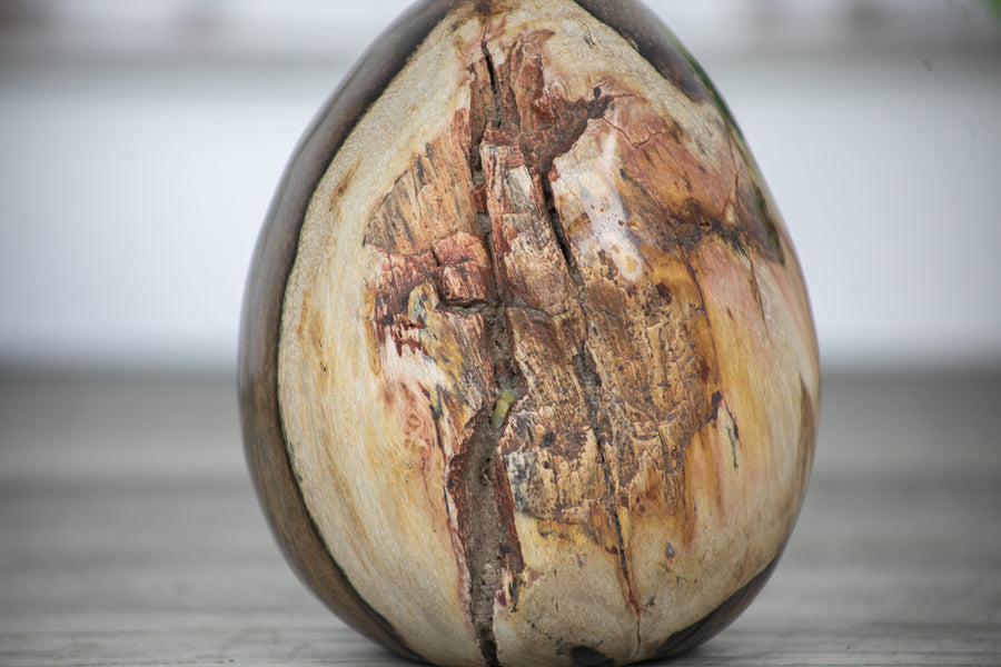 Unique Petrefied Wood Stone Egg Shaped Carving - STE0083