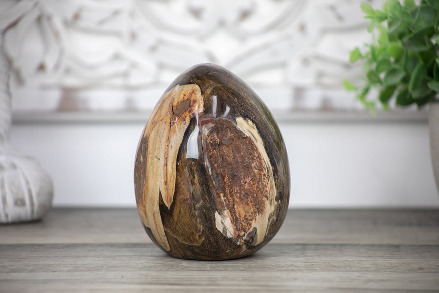 Unique Petrefied Wood Stone Egg Shaped Carving - STE0083