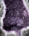 Huge Natural Amethyst Geode, Metal Stand Incuded - AWS1452