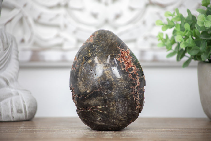 Petrified Wood Handmade Stone Egg - STE0088