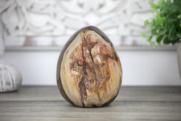 Unique Petrefied Wood Stone Egg Shaped Carving - STE0083