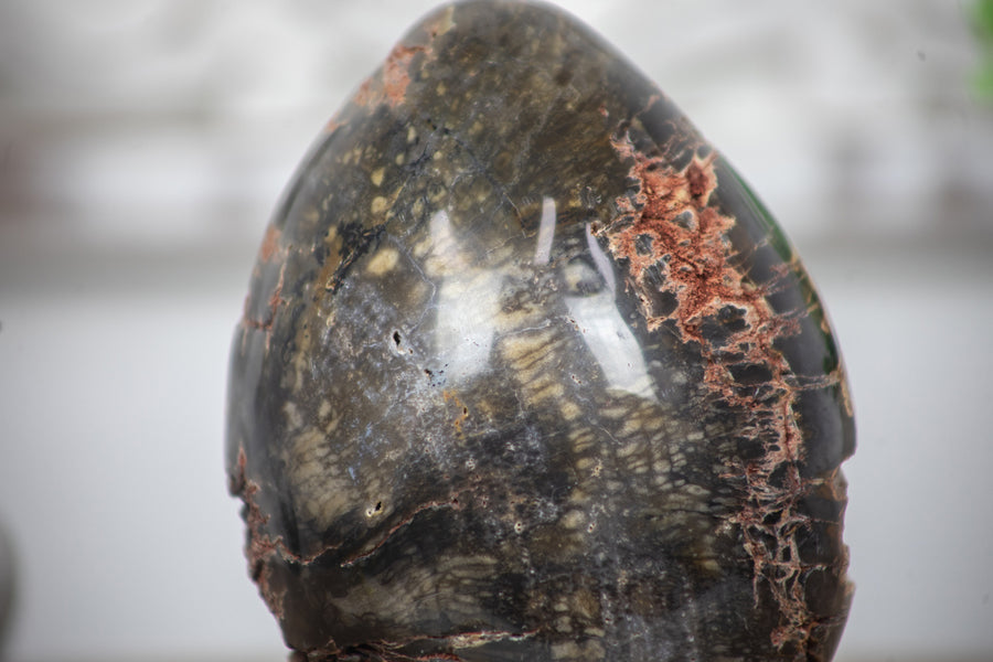 Petrified Wood Handmade Stone Egg - STE0088