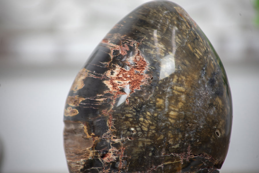 Petrified Wood Handmade Stone Egg - STE0088