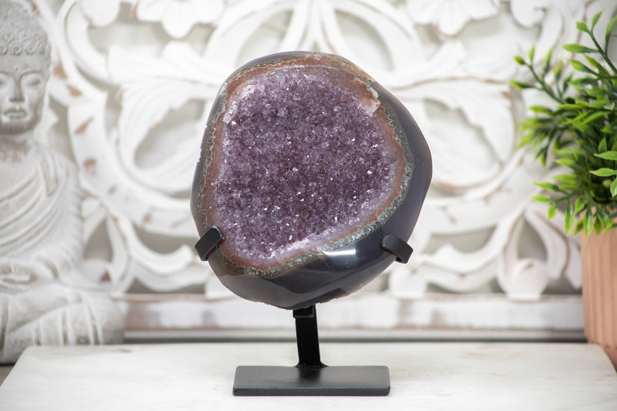 Natural Amethyst Geode with Agate Shellq - AWS1376