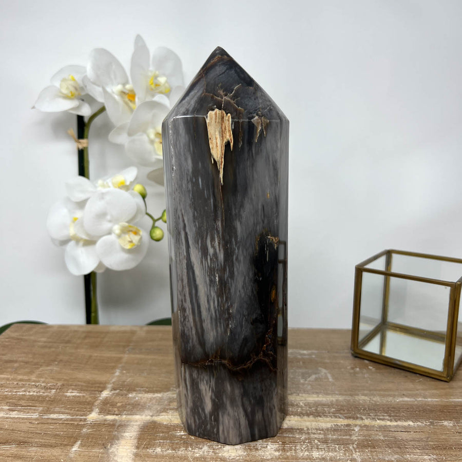 XXL Natural Petrified Wood Stone Obelisk  - STP0056