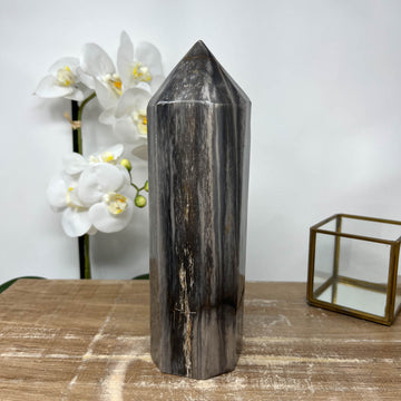 XXL Natural Petrified Wood Stone Obelisk  - STP0056