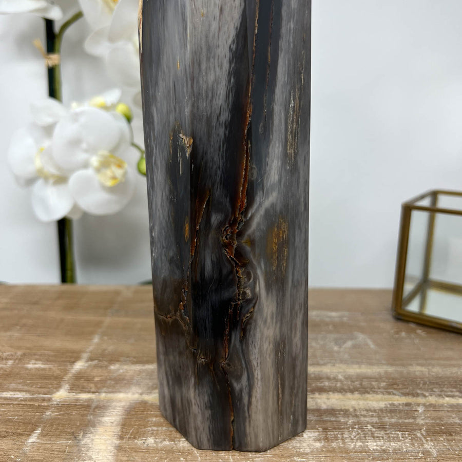 XXL Natural Petrified Wood Stone Obelisk  - STP0056