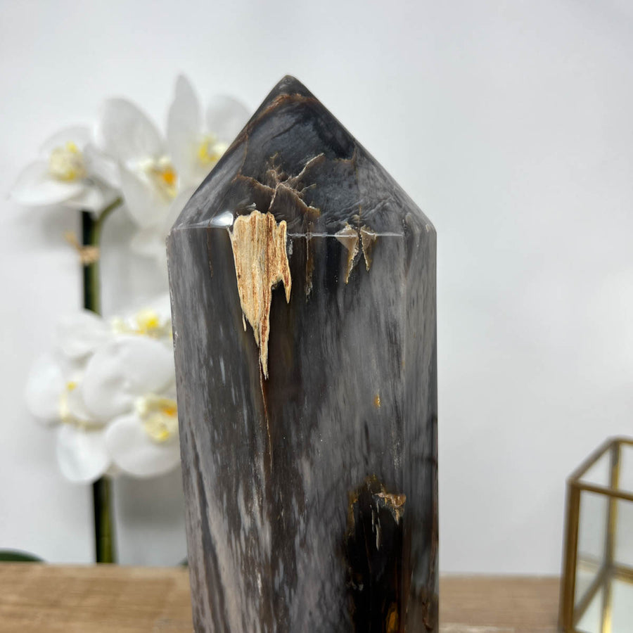 XXL Natural Petrified Wood Stone Obelisk  - STP0056