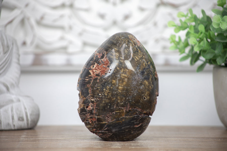 Petrified Wood Handmade Stone Egg - STE0088