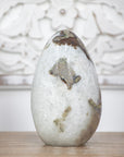 Natural Quartz Stone Egg Shaped Carving - STE0080