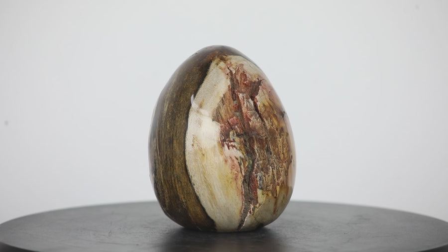 Unique Petrefied Wood Stone Egg Shaped Carving - STE0083
