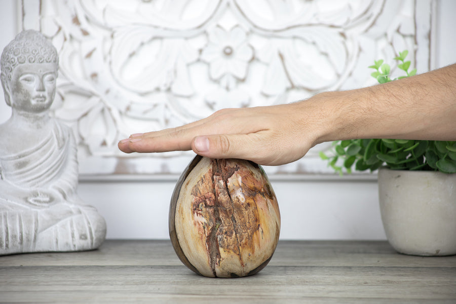 Unique Petrefied Wood Stone Egg Shaped Carving - STE0083