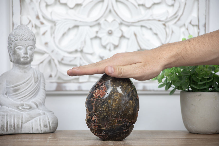Petrified Wood Handmade Stone Egg - STE0088